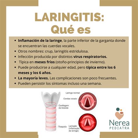 laringitis tratamiento - parálisis facial tratamiento